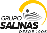 Grupo Salinas